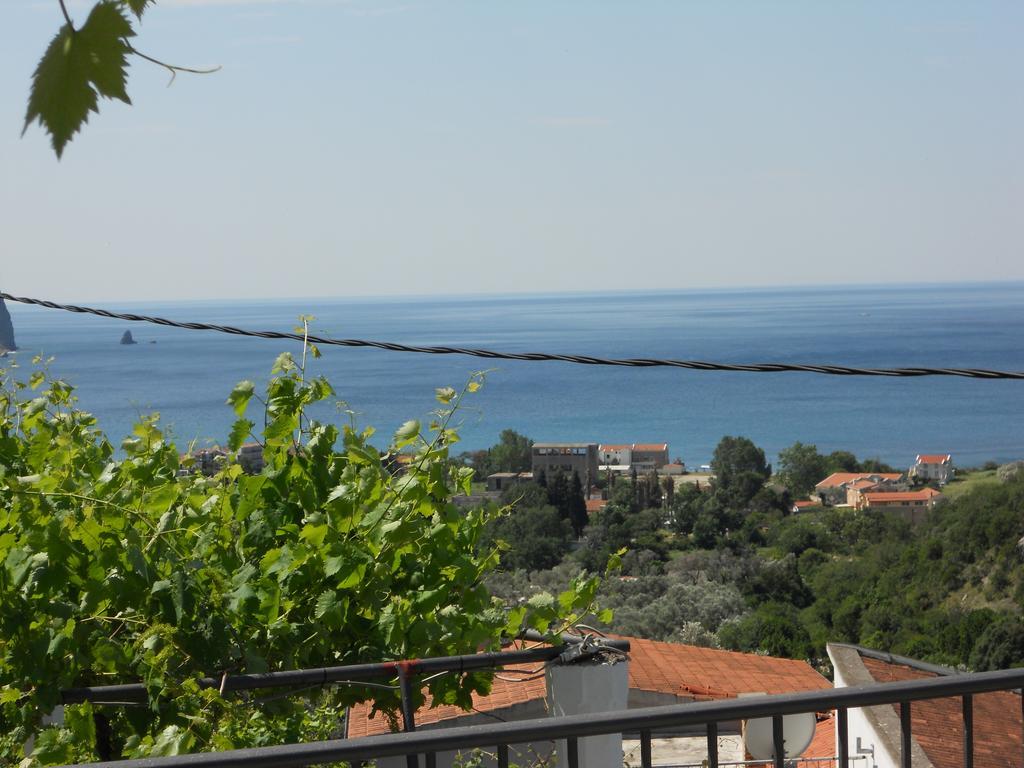 Apartment Djukovic Petrovac Bagian luar foto