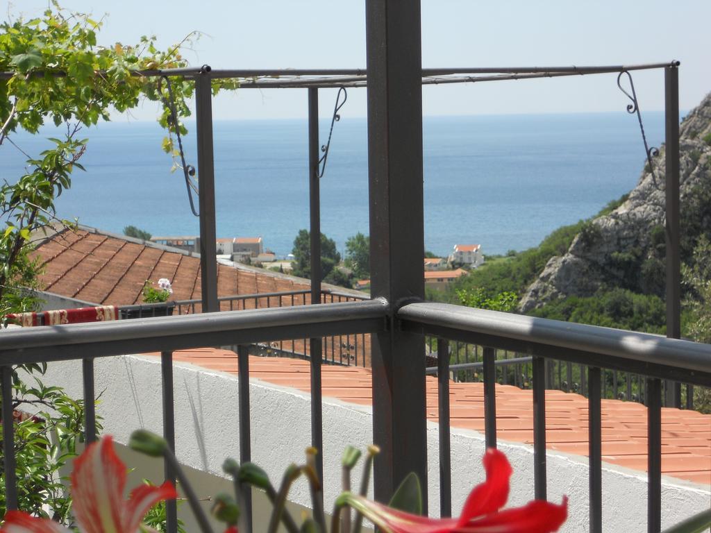 Apartment Djukovic Petrovac Bagian luar foto